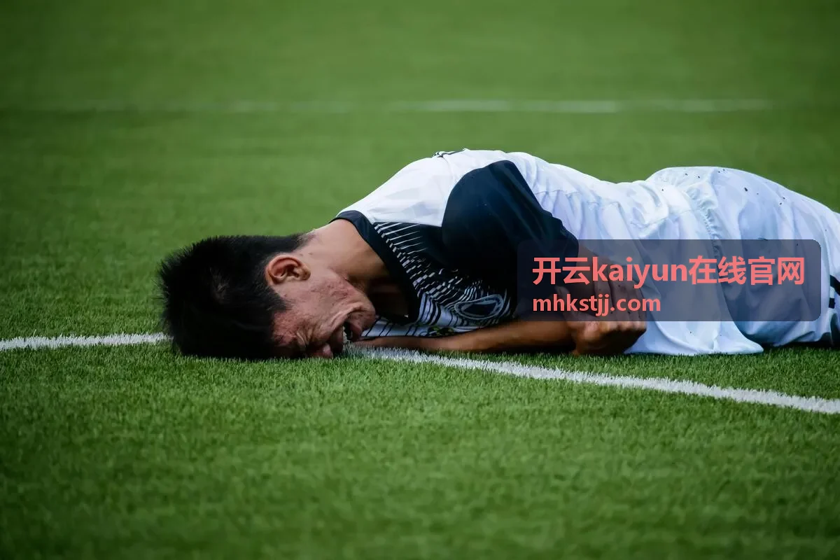 开云kaiyun在线官网在线服务模块总览示意图