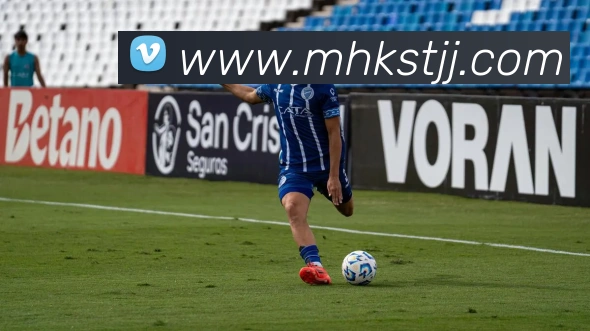 AI Risk Control